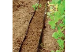 Barrière anti racines pour plantations bambous